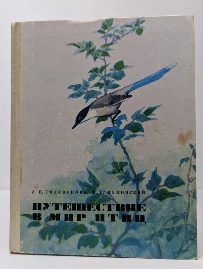 Путешествие в мир птиц
