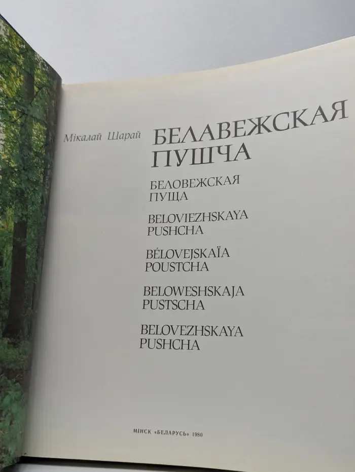 Беловежская пуща