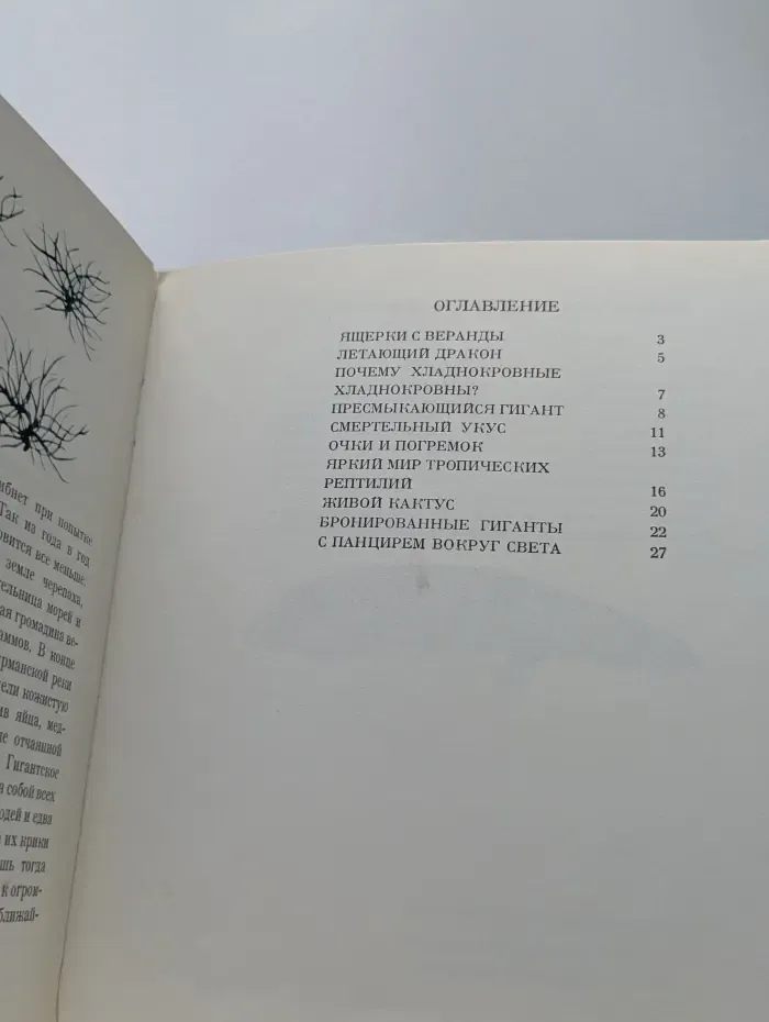 Внуки драконов