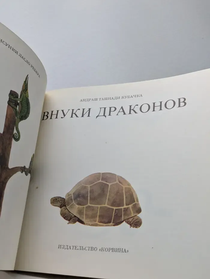 Внуки драконов
