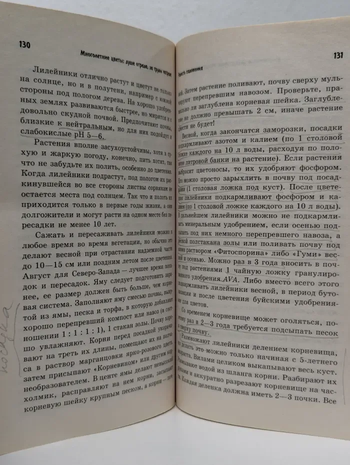 Советы Галины Кизима. Многолетние цветы. Душе отрада, за труды награда