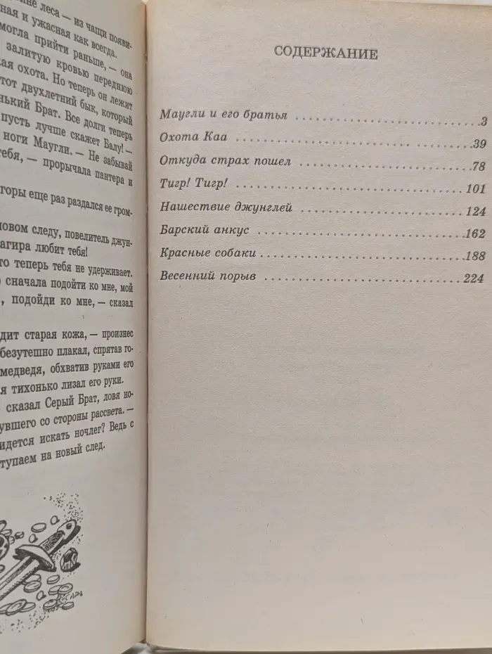 Библиотека летской литературы. Маугли
