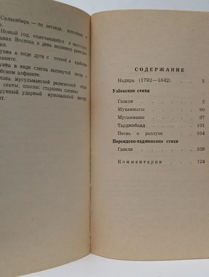 Избранная лирика Востока. Надира. Избранные стихотворения