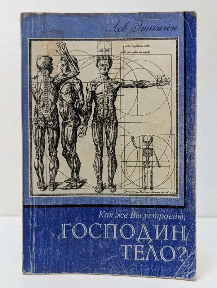Как же вы устроены, господин Тело?