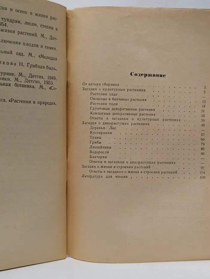 Загадки о растениях