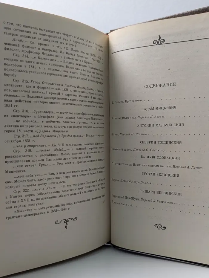 Польская романтическая поэма. XIX век