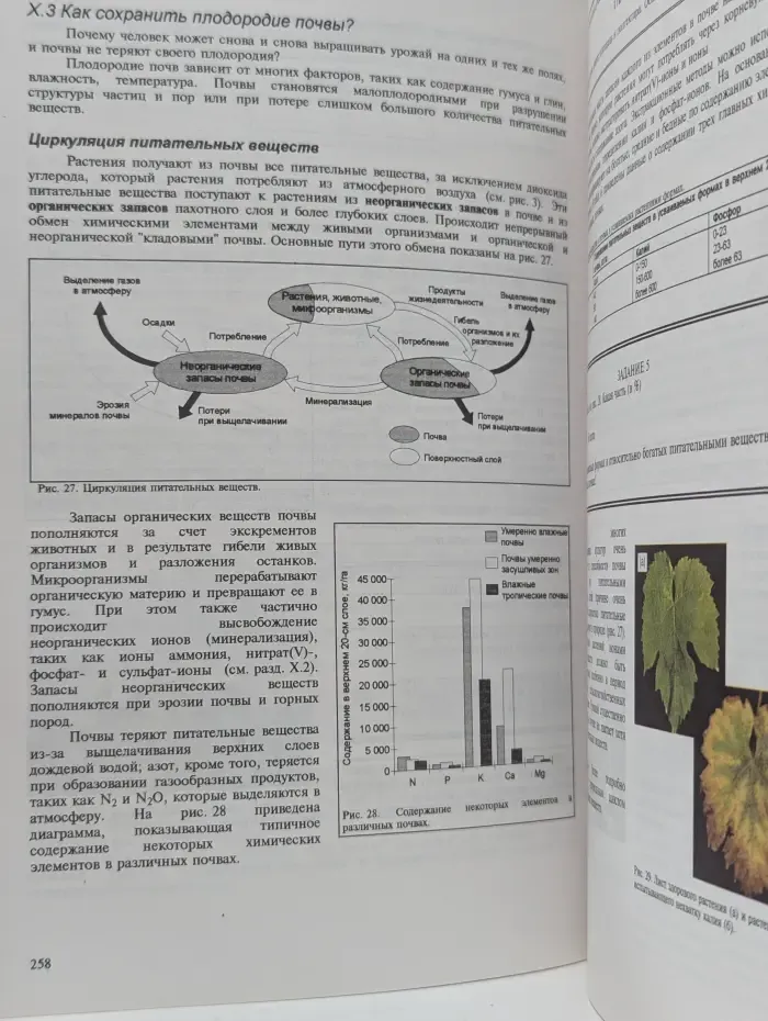 Химия и жизнь (Солтерсовская химия). Часть 2. Химические новеллы
