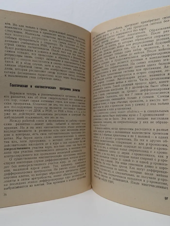 Генетические основы развития