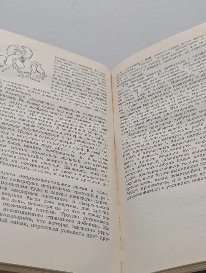 Кольцо царя Соломона