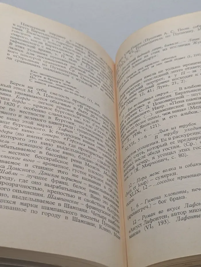 Роман А. С. Пушкина Евгений Онегин. Комментарий