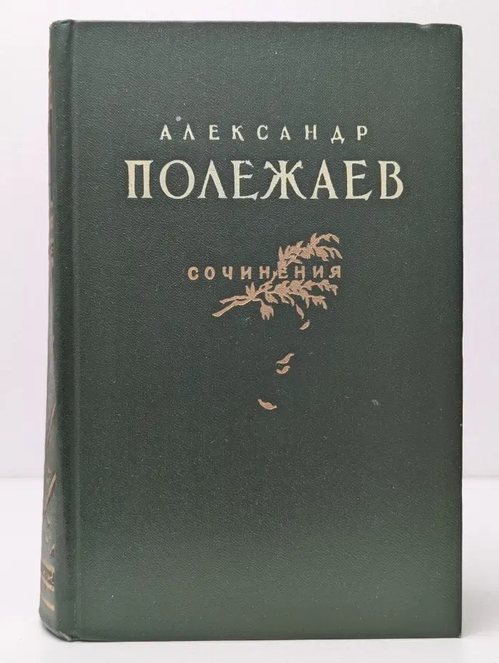 Александр Полежаев. Сочинения