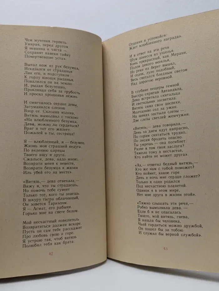 Школьная библиотека. Витязь в тигровой шкуре