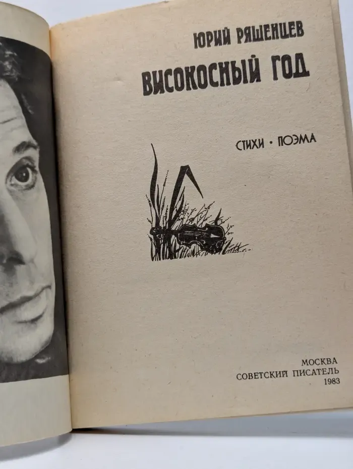 Високосный год