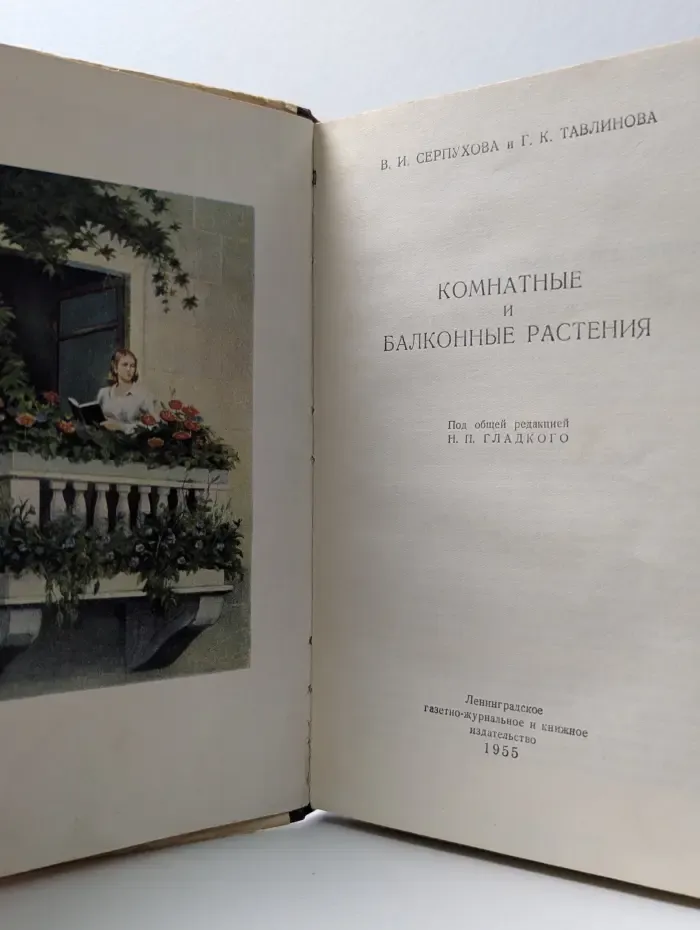 Комнатные и балконные растения