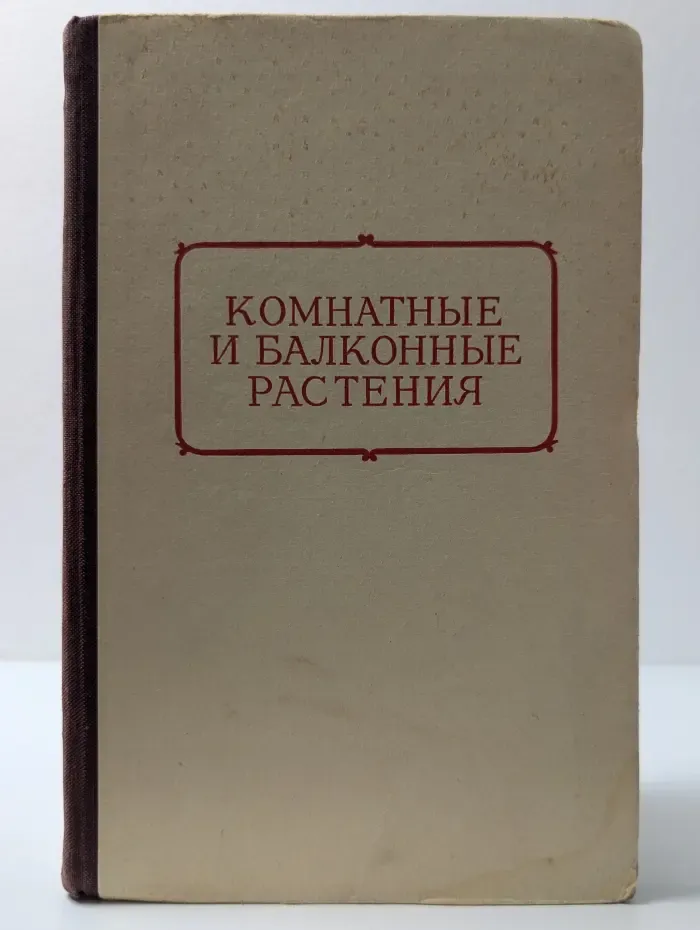 Комнатные и балконные растения
