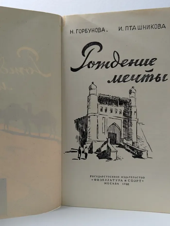 Рождение мечты