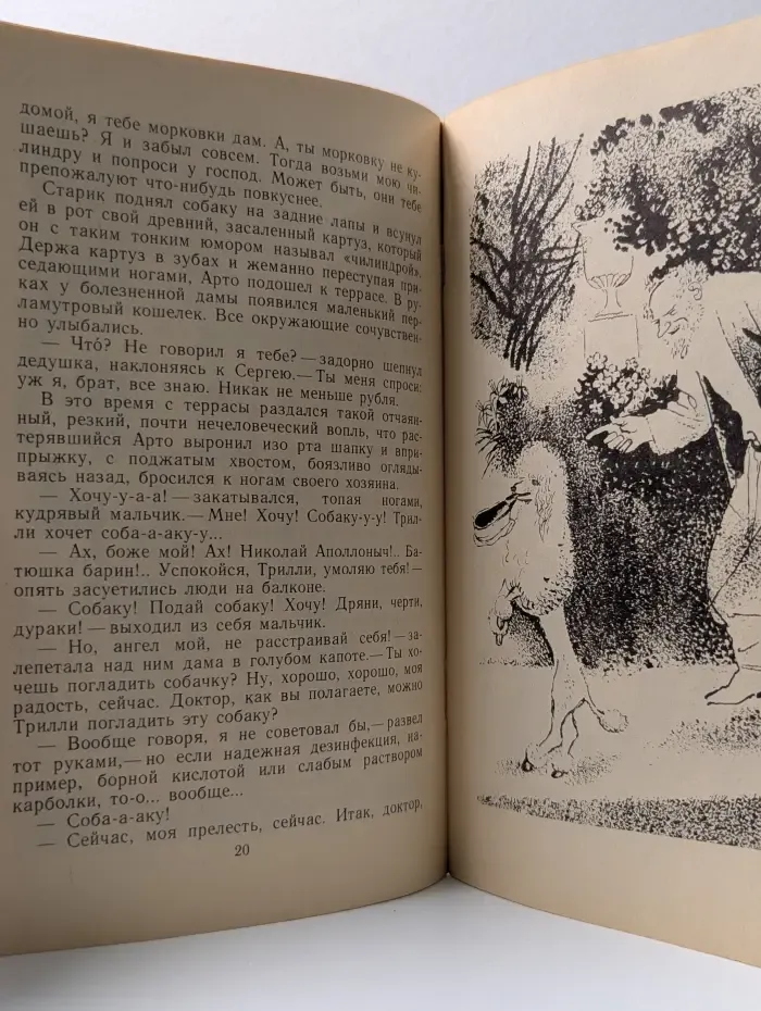 Книга за книгой. Белый пудель
