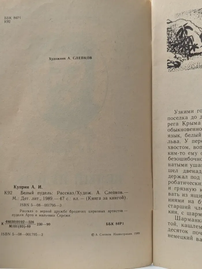 Книга за книгой. Белый пудель