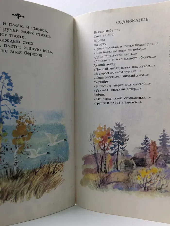 Летний вечер