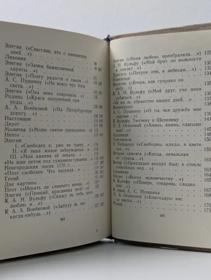 Библиотека поэта. Н. М. Языков. Стихотворения и поэмы