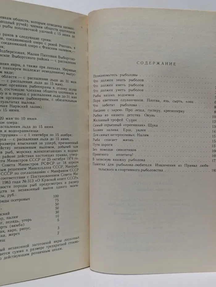 Наедине с зарею. Записки рыболова
