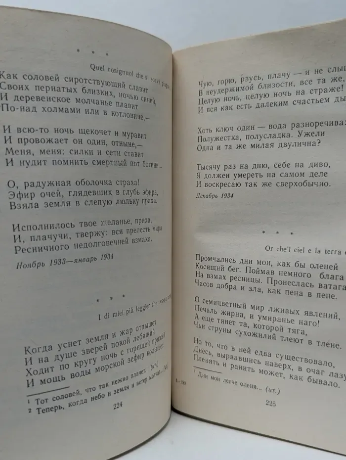 Русский сонет. Сонеты русских поэтов начала XX века и советских поэтов