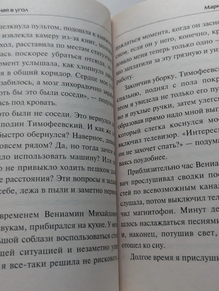 Частный детектив Татьяна Иванова. Загнанная в угол