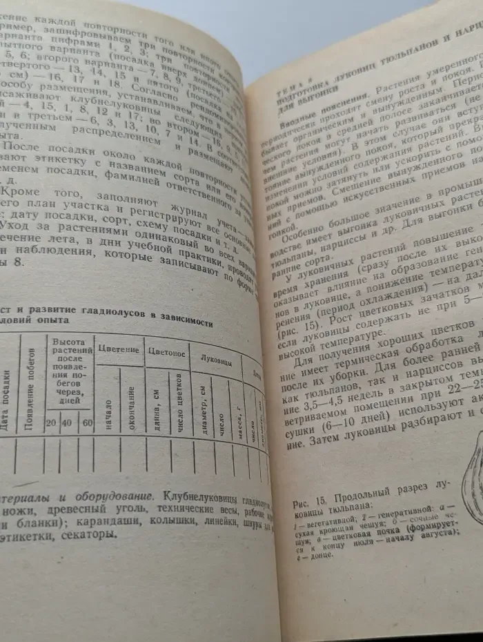 Практикум по цветоводству