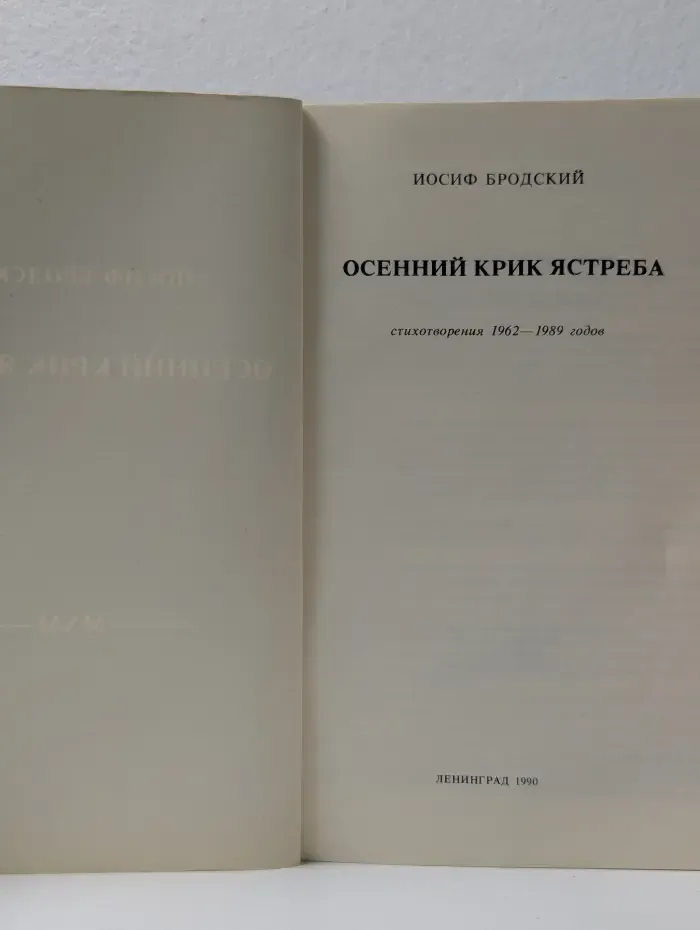 Осенний крик ястреба