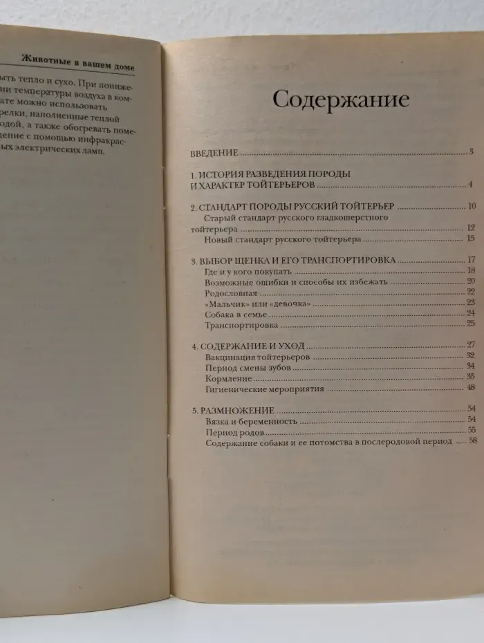 Животные в вашем доме. Русский тойтерьер