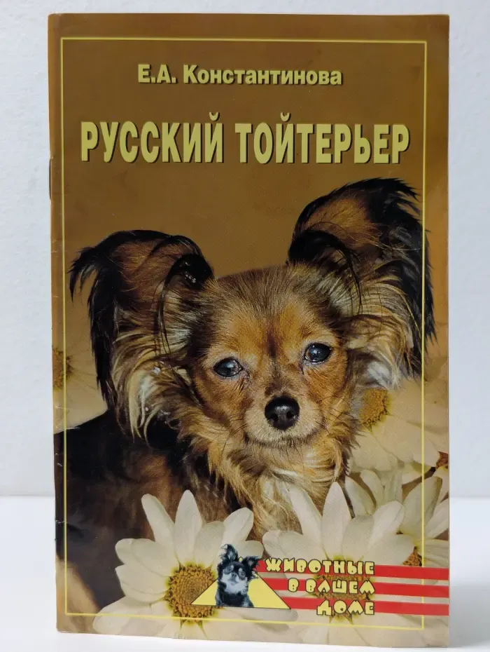 Животные в вашем доме. Русский тойтерьер