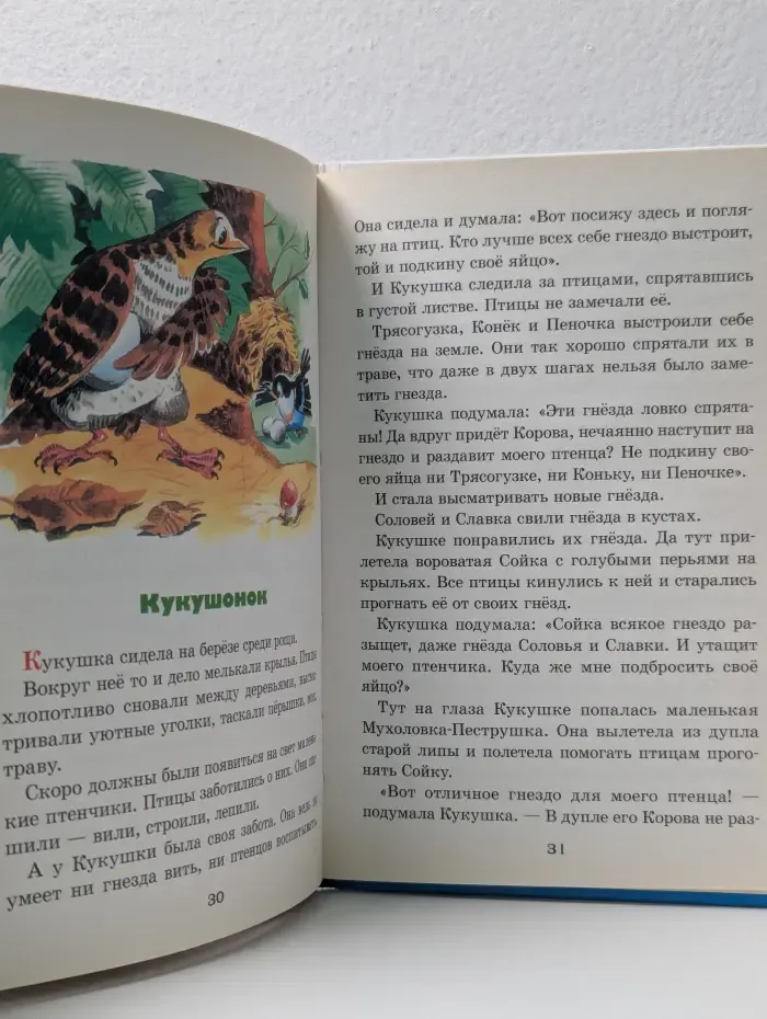 Библиотека школьника. Лесные домишки