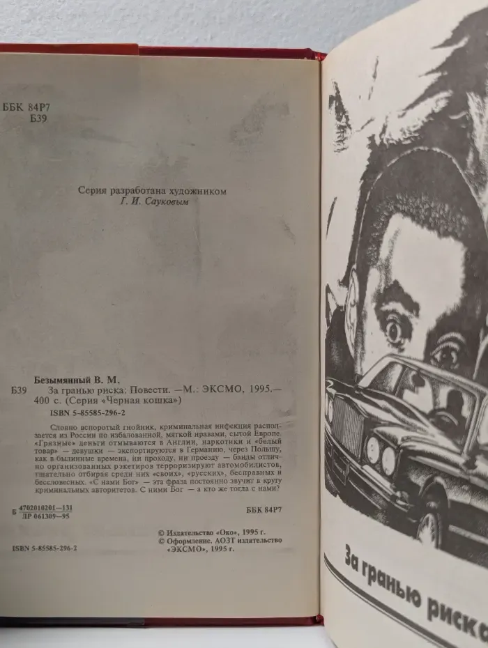 Черная кошка. За гранью риска