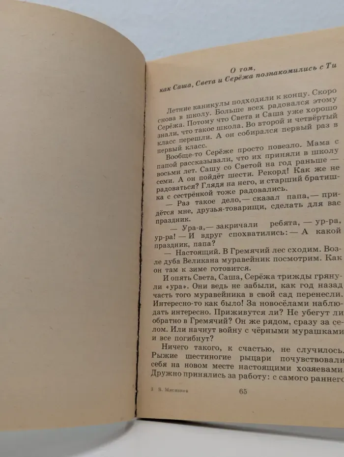Похождения доблестного Ти