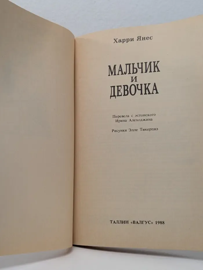Мальчик и Девочка