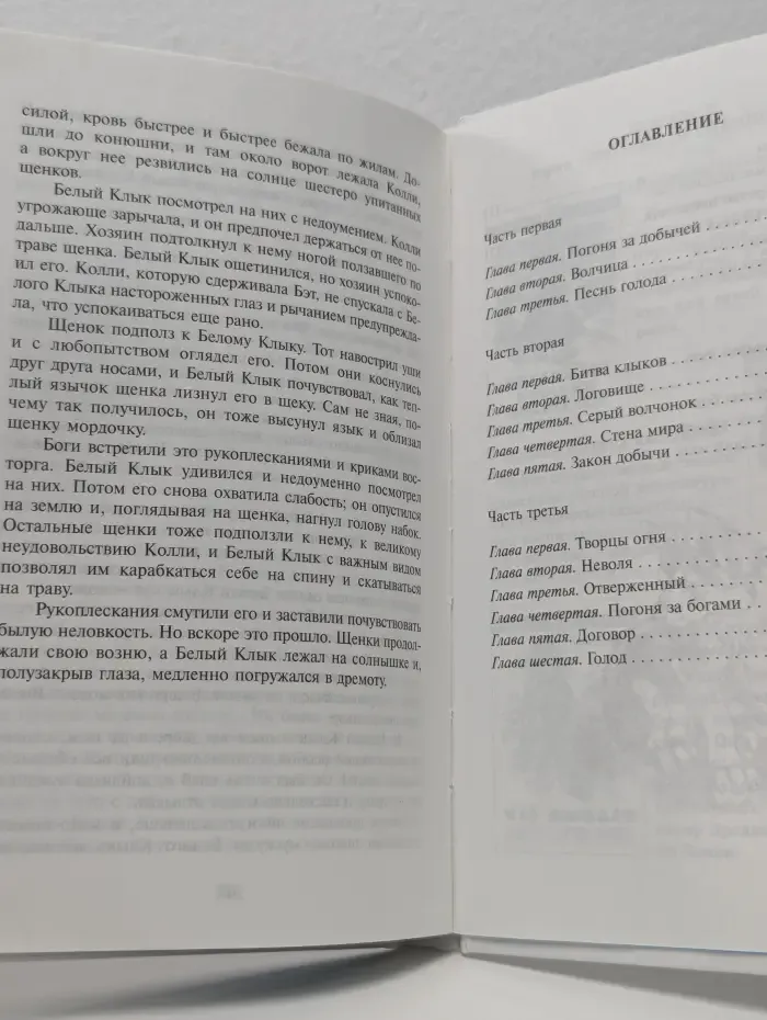 Школьная библиотека. Белый клык