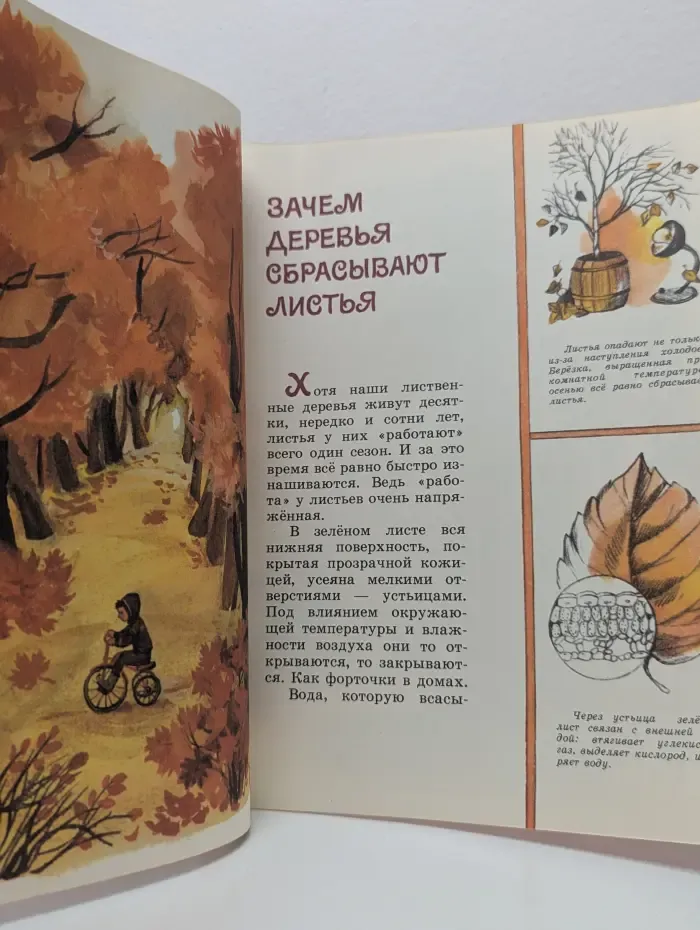 Почемучкины книжки. Почему осенью — листопад?