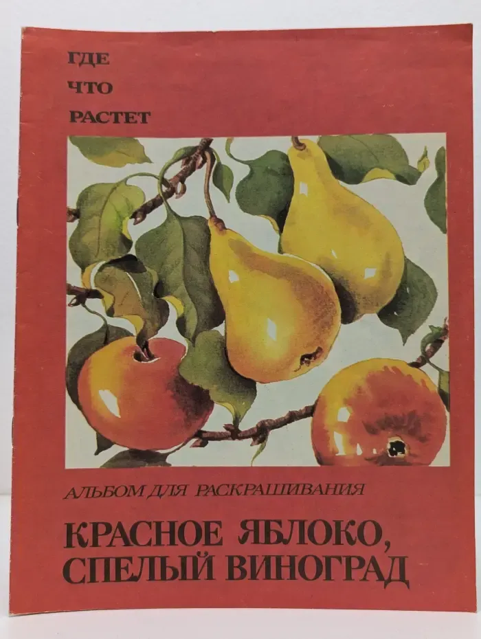 Где что растет. Красное яблоко, спелый виноград