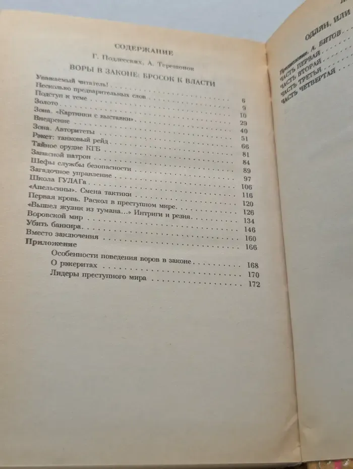 Зона риска. Воры в законе
