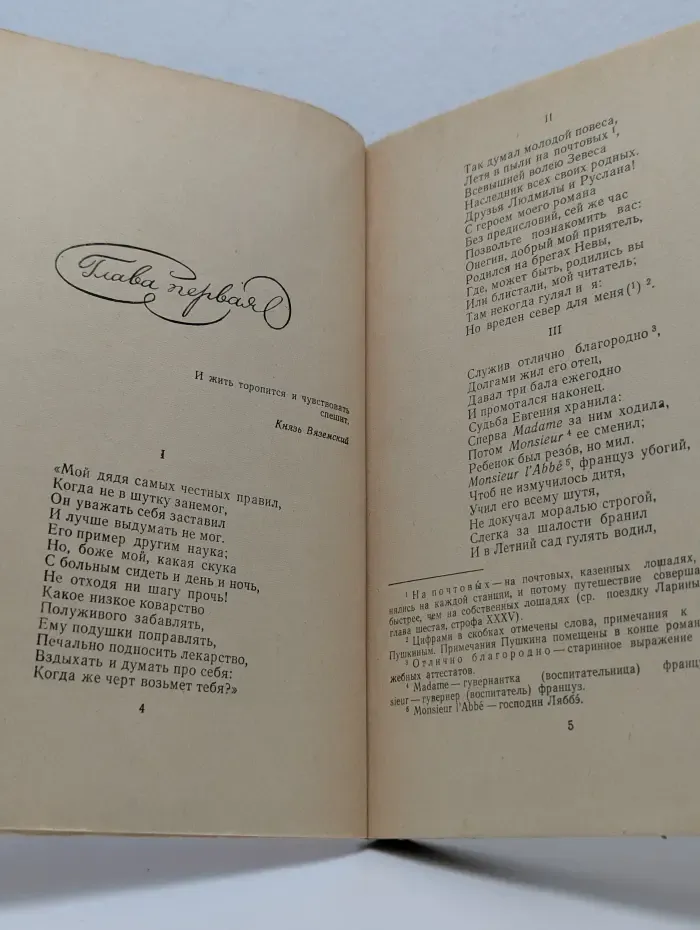 Школьная библиотека. Евгений Онегин