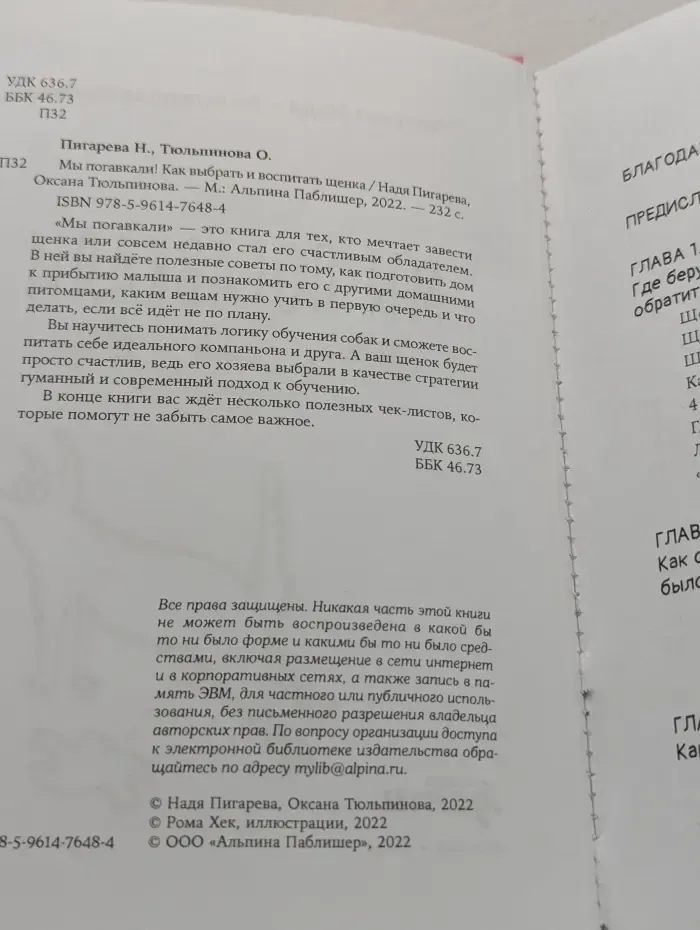 Мы погавкали! Как выбрать и воспитать щенка