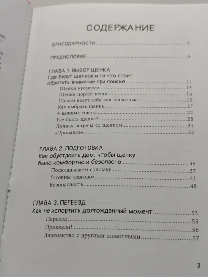 Мы погавкали! Как выбрать и воспитать щенка