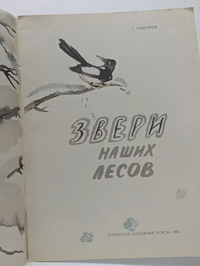 Звери наших лесов