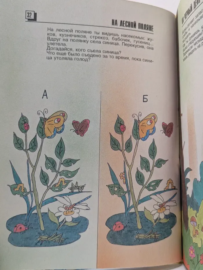 Загадки, игры в картинках для детей 6-12 лет. Почему?