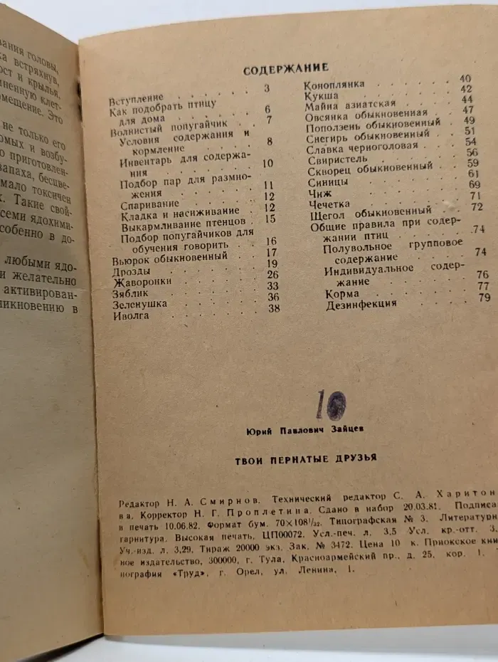 Твои пернатые друзья