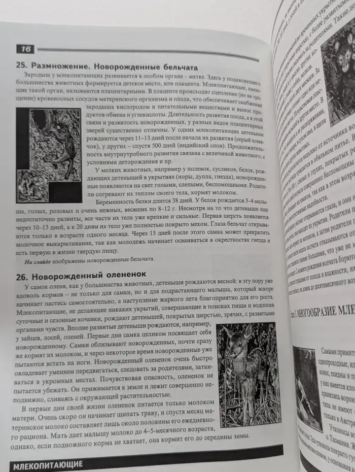 Мир биологии. Млекопитающие. 100 цветных диапозитивов с методическими комментариями