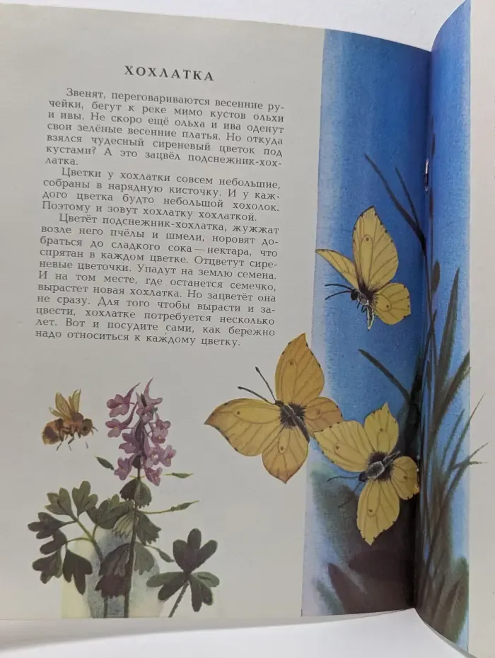 Первый цветок
