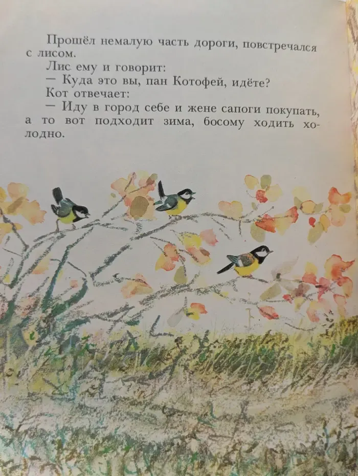 Как кот ходил с лисом сапоги покупать