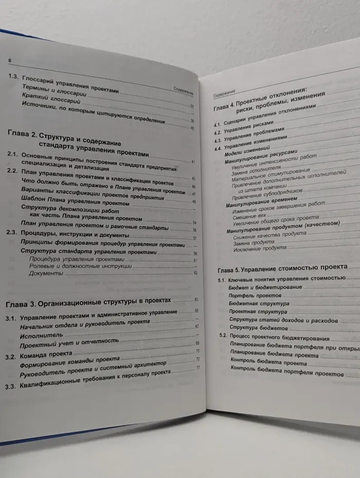 Управление проектами. Стандарты, методы, опыт