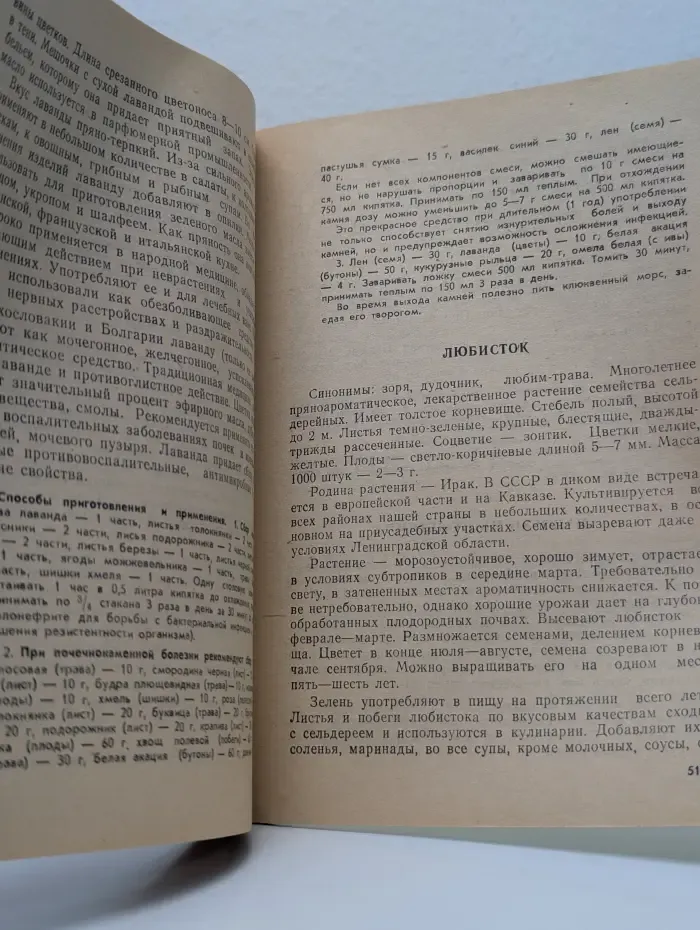 И в пищу, и для здоровья. Малораспространенные овощные культуры